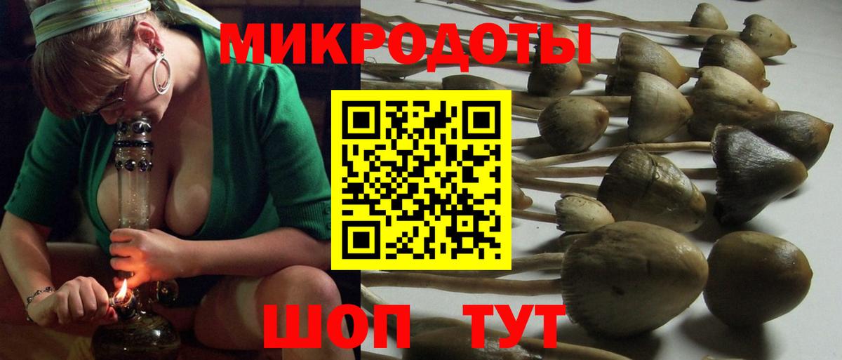 Муравленко  Галлюциногенные грибы ЛСД  Вход с VPN 