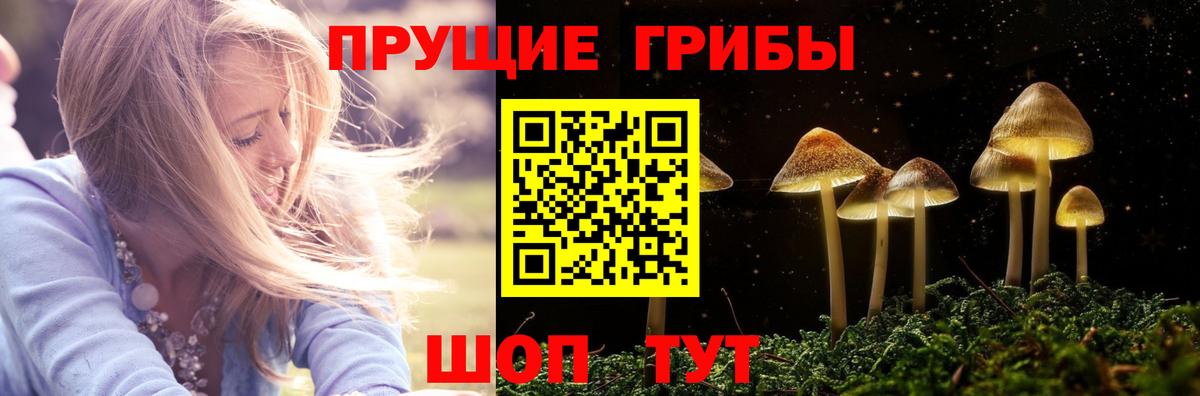 Псилоцибиновые грибы GOLDEN TEACHER Муравленко